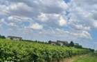 Ferma de vanzare, vand ferma, vand teren langa mare - 1