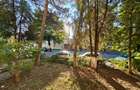 Apartament Cornisa 300m UMFST - 1