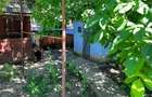 Vand casa in sat berche? com frata - 5