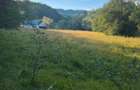 TEREN INTRAVILAN - Valea Vinului - Viseu de Sus - 25.8 ARI - 5