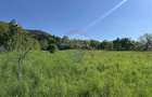 Teren 1,000mp Bistrita / Strada Plopusor - 2