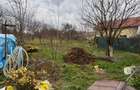 Casa renovata cu teren 600 mp, garaj ?i anexe Posta, - Posta (Maramures) - 12