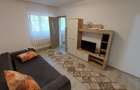 Apartament 1 camera D, in Alexandru - 2
