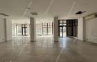 Spatiu comercial 485 mp | Stradal | ISU | 3 intrari | Bld. L Rebreanu - 10