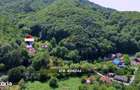 De vanzare in Baia Mare CASA SUB PADURE - 17
