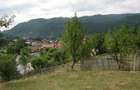 Rucar, teren intravilan 3214 mp cu deschidere 56 m in DN73 - 9