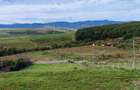 Teren intravilan sat Ciurila 1000 m - 5