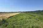 Teren intravilan+extravilan 2540Mp de vanzare zona Mihaesti