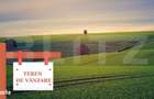 Teren extravilan, 125000 mp, Timis! - 1
