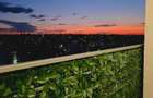 PF inchiriez apartament 2 camere open space Visan Iasi