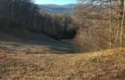 vanzare teren Runcu (DB) - 5