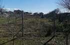 Vand teren intravilan - 2
