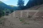 Teren de vanzare, 10.000 mp - Bistrita Bargaului, zona turistica - 1