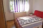 2 camere Decomandat, Mobilat si Utilat, Radu Negru - 3