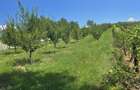 1,8 Ha Livada la Poalele Padurii | Casa + 2 Cabane | 700 Pomi Fructiferi | 200.000 Negociabil - 5