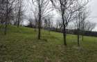 Teren intravilan 1518 mp, constructie, Sotrile, Prahova - 24 EURmp - 10