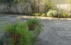 Apartament 4 dormitoare si 3 bai - Etaj 3- Elisabetin - 19