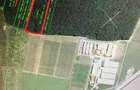 ???? Padurea Strava 2,5 ha | Afuma?i ?indrili?a | Pioneer - 1