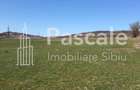 Teren de vanzare intrare in Daia, aproape de Sibiu - 2