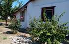 Vand casa comuna Botoroaga Jud Teleorman - 6