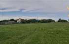 Vand teren 500 mp cu 15000 euro - 2