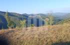 Teren intravilan | 3565 mp | Ideal constructie cabane | Garda de Sus - 1