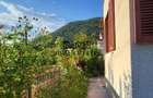Jumatate duplex in Criscior, Hunedoara - 17