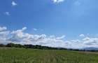 Teren agricol extravilan Podu Oltului la limita UAT Harman si UAT Prejmer - 3