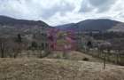 Teren intravilan de vanzare in Valea Doftanei - 14