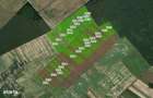 Inchiriere/vanzare 1800-25.000 euro/ha,90ha Contesti direct proprietar - 1