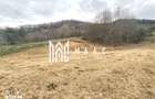 Teren extravilan agricol 1.184 mp | Sibiel | utilita?i la 100 m - 6