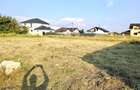 Teren de vanzare str Prunilor,Smeura Arges - 3