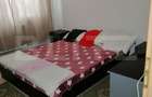 Apartament 2 camere, etaj 2/4, complet mobilat si utilat, zona cu faci - 3