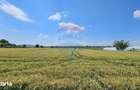 Teren 15,000mp Salcea-Prelipca, Suceava - 4