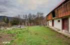 Casa la munte cu teren generos in Com. Nucsoara, loc. Slatina jud. A - 1