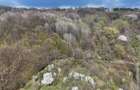 Teren intravilan 4.654 mp, 4 loturi comasate – Cornu de Jos - 2