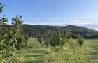Vand teren intravilan - 2
