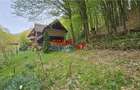 Casă de vacanță la pădure | Teren 891 mp | Valea Ighielului - 14