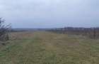 Teren 10.000 mp si casa in Stolinici Arges - 3