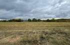 Vand teren Intravilan 1400 MP in Parcul National Comana - Vlad Tepes - Giurgiu - 9