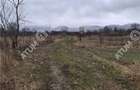 Teren intravilan de 2679 mp in Porumbacu de Sus din Sibiu - 6