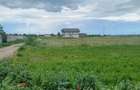 Teren intravilan -2 loturi 422mp si 417mp comuna Curtisoara jud Olt la 8 km de Slatina - 1