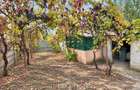 Casa 3 camere, teren 562 mp | Barcanesti | Comision 0%