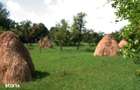 Teren 5844 mp Valea Danului Curtea de Arges intravilan extravilan - 4