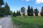 Oportunitare | Teren 1350 mp cu PUZ | Belis - 8