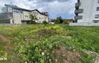Teren Iancu Nicolae 2060 mp - 1