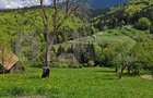 Teren intravilan 3400 mp, in Balaban - Simon, Bran - Brasov - 2