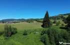 Teren in Bucovina! La Munte! De ! 0727817187 - 8