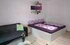 Inchiriez apartamente si garsoniere in regim hotelier la muncitori - 5