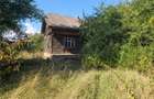 Teren intravilan 1000 mp | Lucacesti | T-7873 - 3